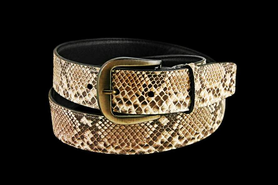 prada python print exotic leathers belt  